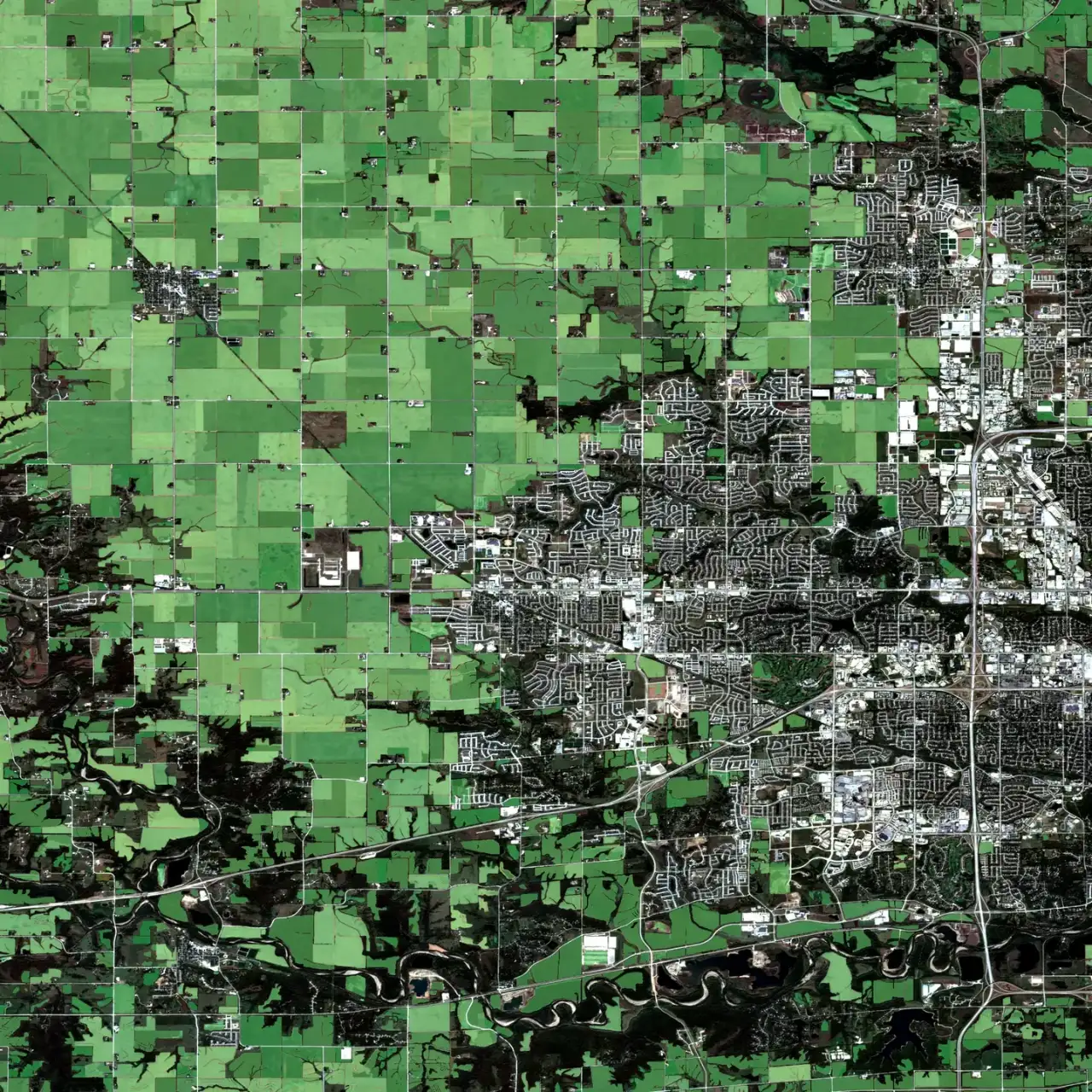 Sentinel-2 harvest composite of Iowa farmland with every field boundary predicted by Locamage outlined in blue